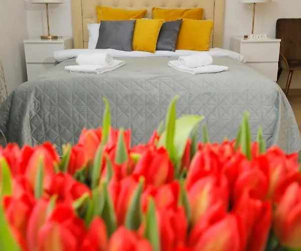 住宿加早餐酒店 四十号花园住宿加早餐旅馆