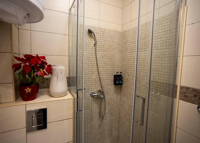 四十号花园住宿加早餐旅馆 3*