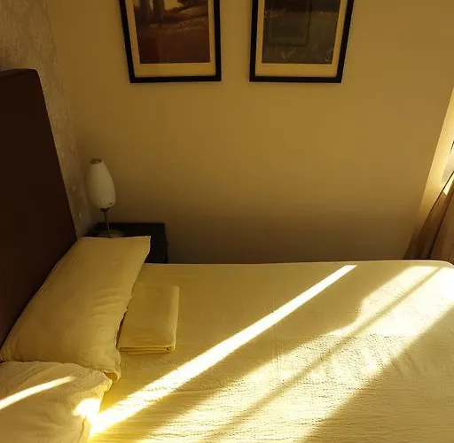 四十号花园住宿加早餐旅馆 3*