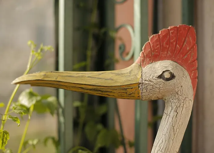 四十号花园住宿加早餐旅馆 住宿加早餐酒店 3*