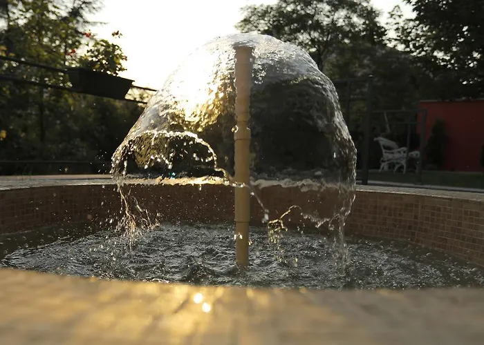 四十号花园住宿加早餐旅馆 住宿加早餐酒店 贝尔格莱德